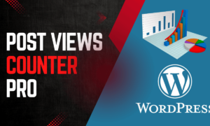 Post Views Counter PRO WordPress Plugin
