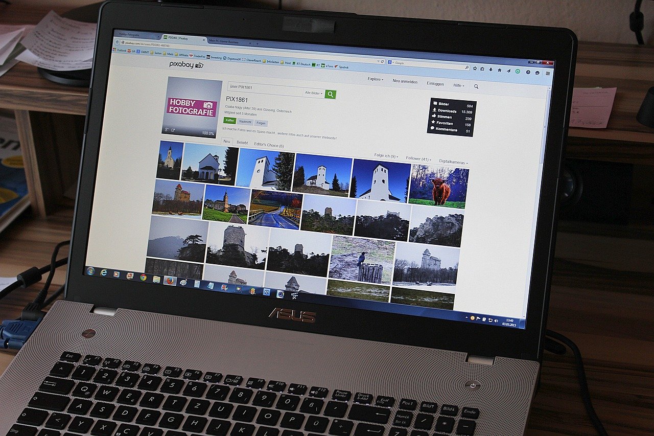 website professional pack